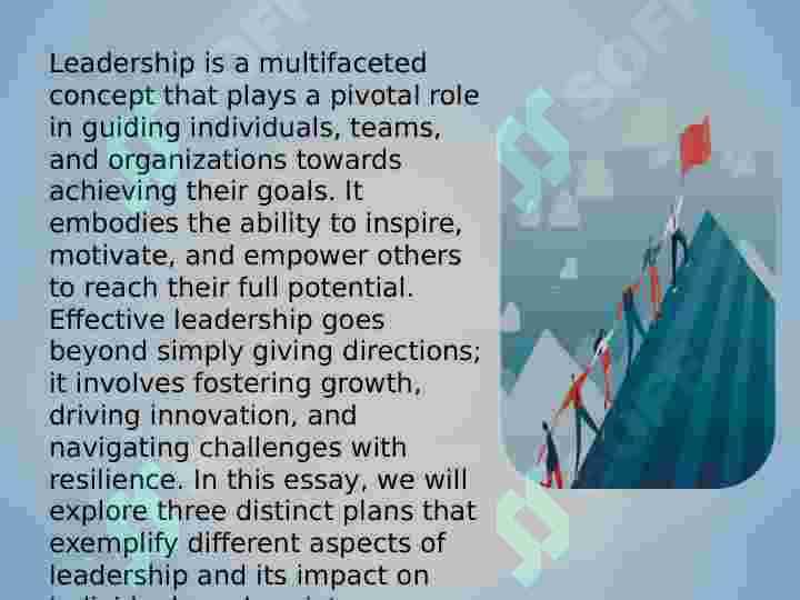 Leadership 3