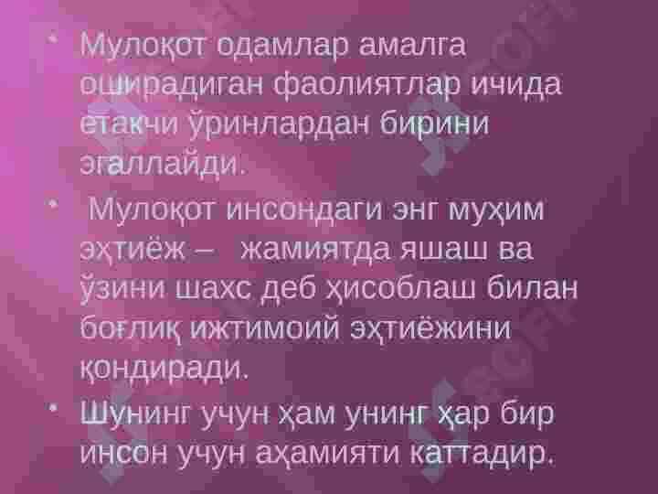 MULOQOT 5