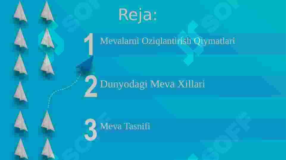 Meva va uning tiplari 2