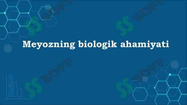 Meyozning biologik ahamiyati 1