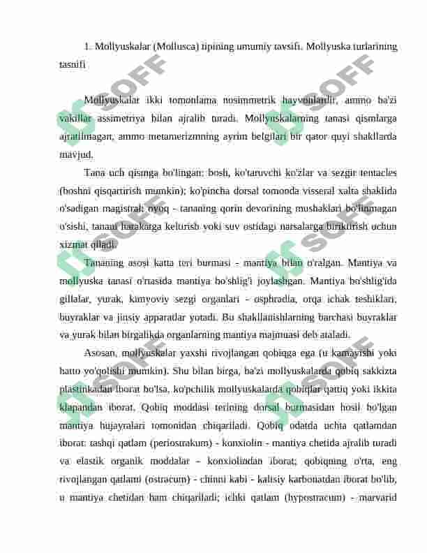 Mollyuskalar sistematikasi va kelib chiqishi 3