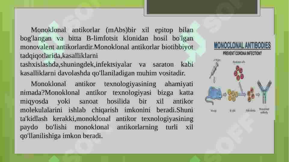MONOKLONAL ANTITELOLAR OLISH 2