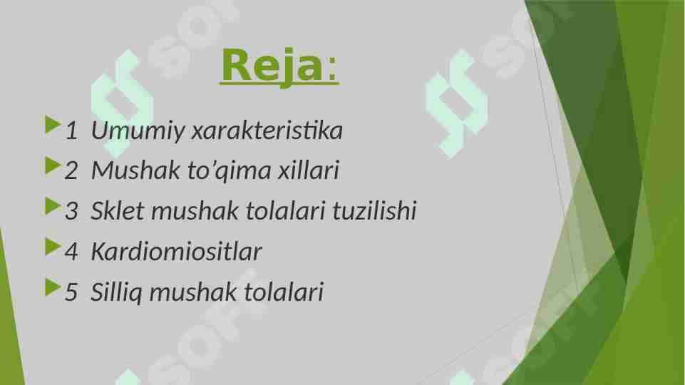 Mushaklar 1