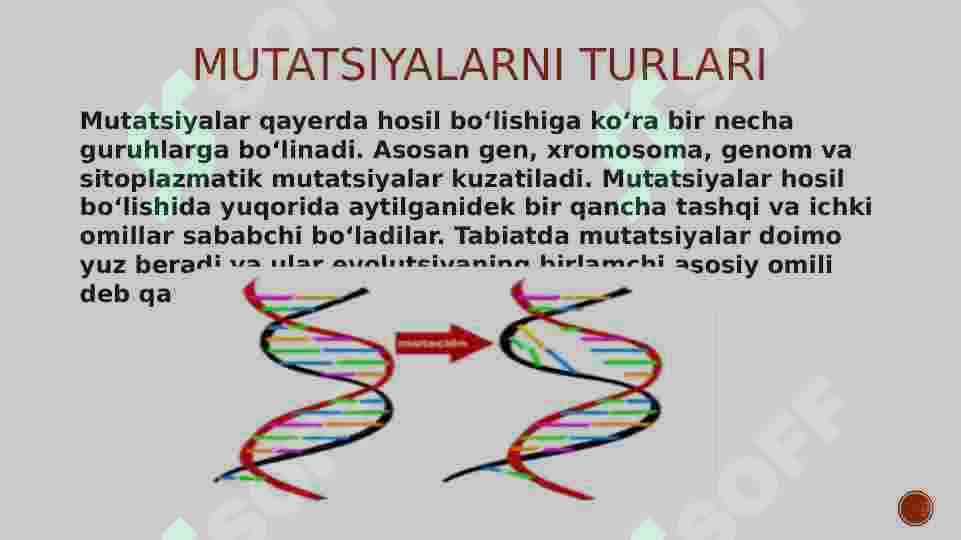 Mutatiya jarayoni va uning mexanizmi 4