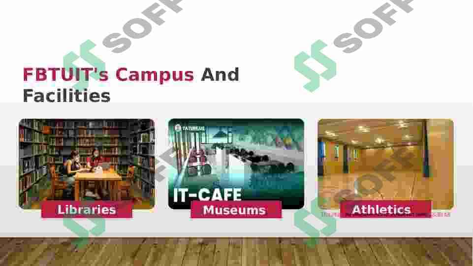 My University 3
