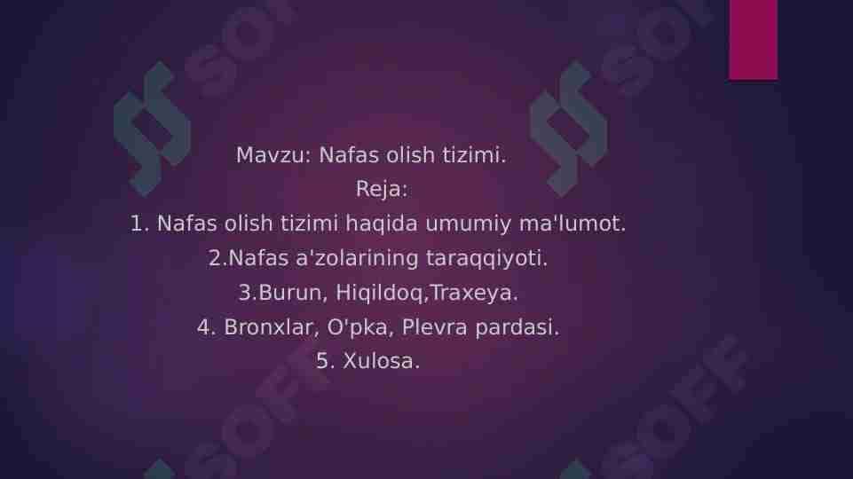 Nafas olish tizimi