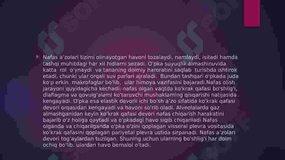 Nafas olish tizimi 3