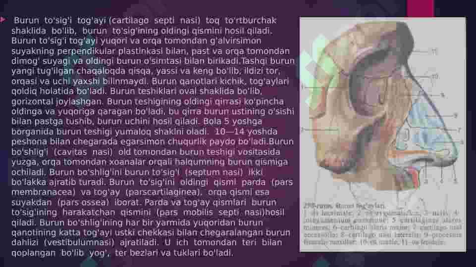 Nafas olish tizimi 8