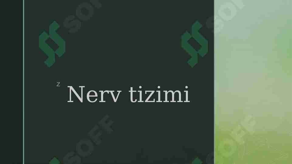 Nerv tizimi 1
