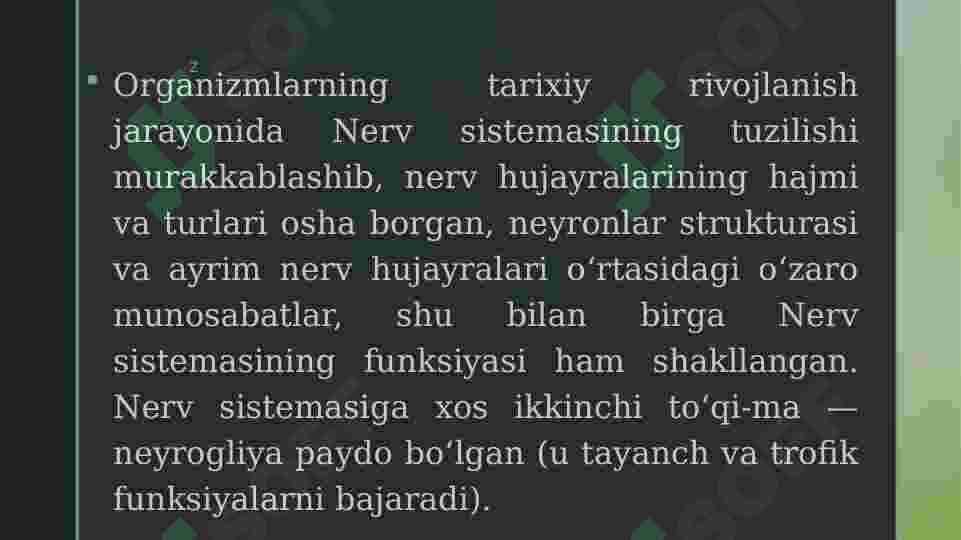 Nerv tizimi 4