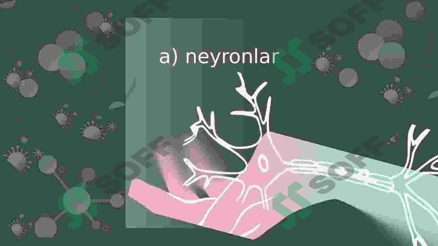 Neyro-endo raqs 4