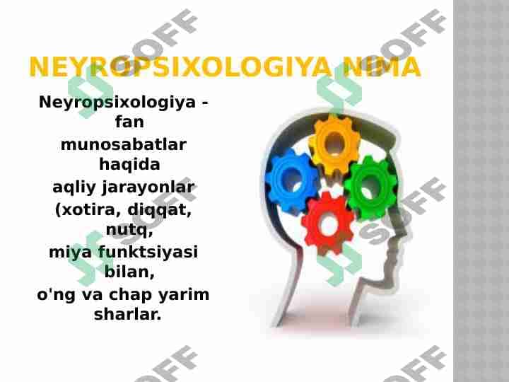 Neyropsixologiya nima