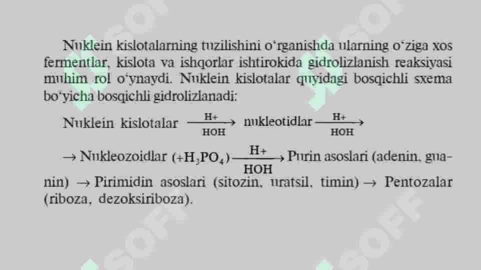 Nuklein kislotalar 4