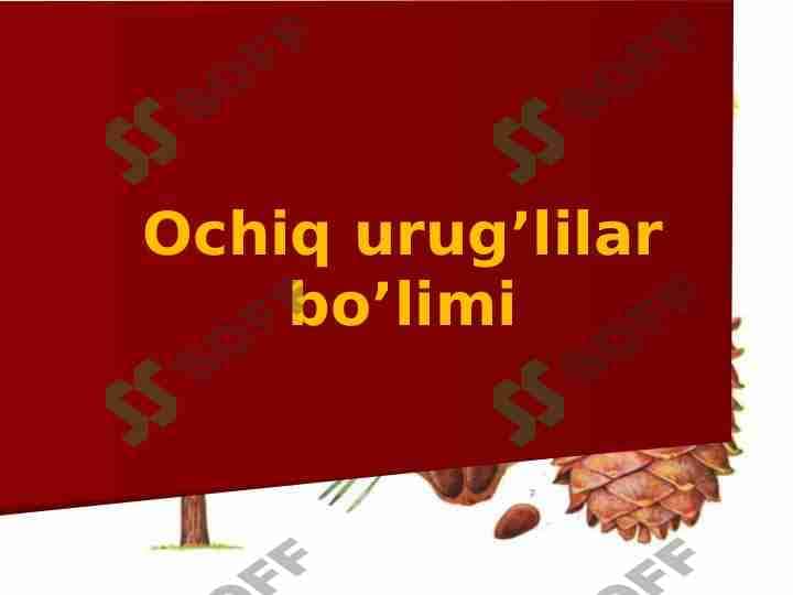 Ochiq urug’lilar bo’limi 1