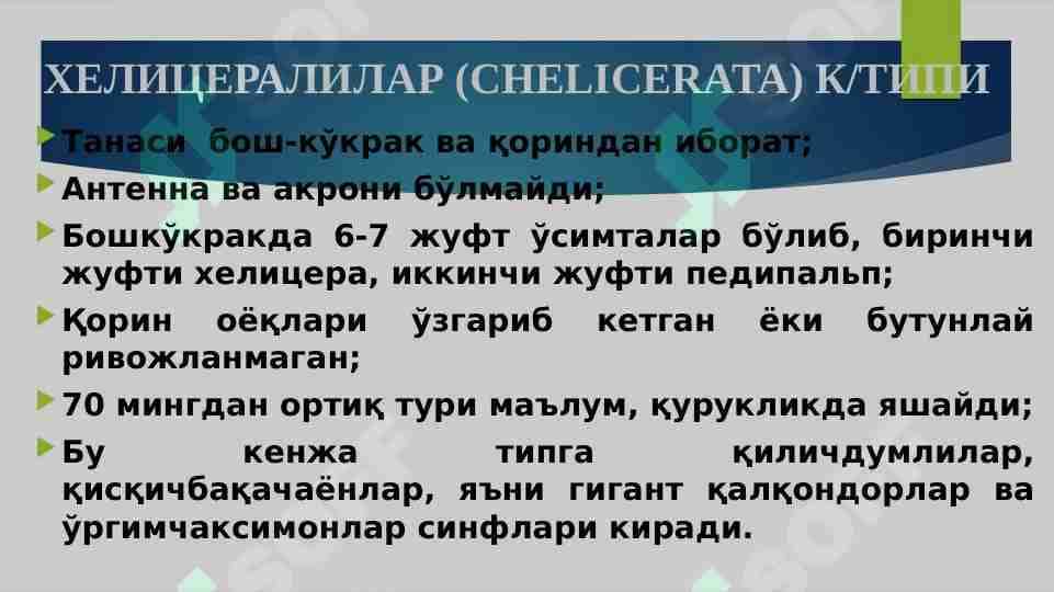 O‘rgimchaksimonlar 1