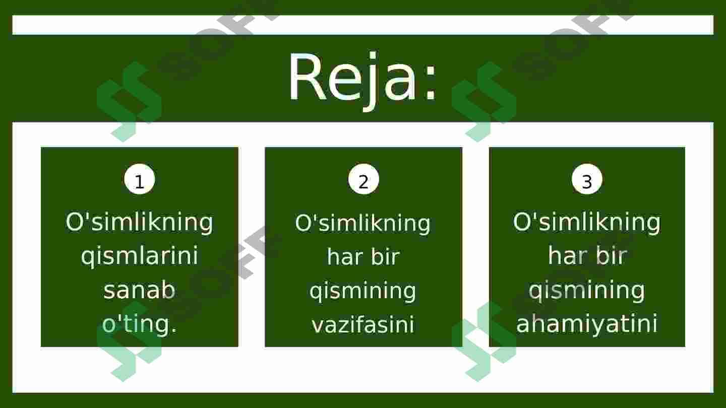 O'simlik qisimlar 2