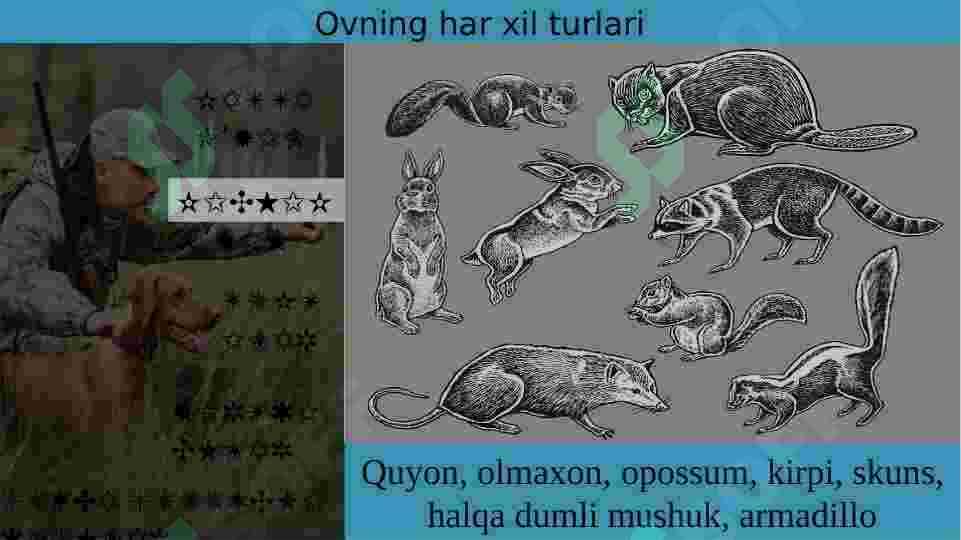 Ovchilar uyi 8