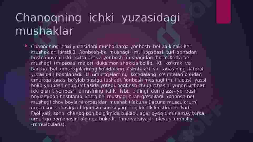 Oyoq  mushaklari 3