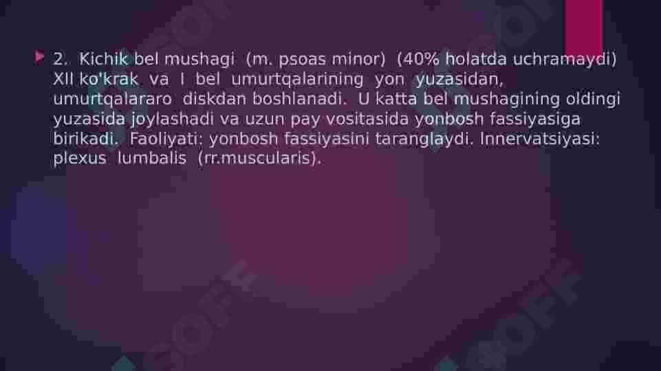 Oyoq  mushaklari 6