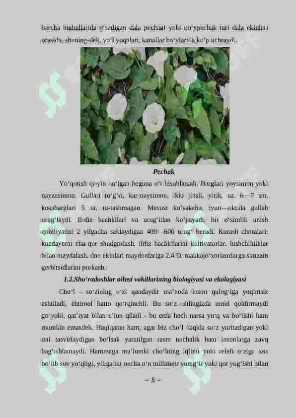 Pechaknamolar qabilasi 5