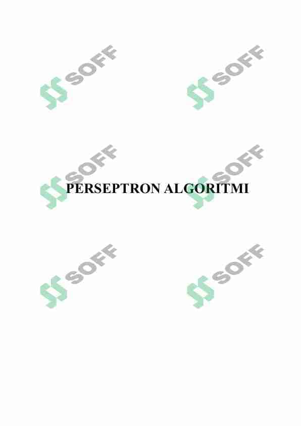 PERSEPTRON ALGORITMI 1