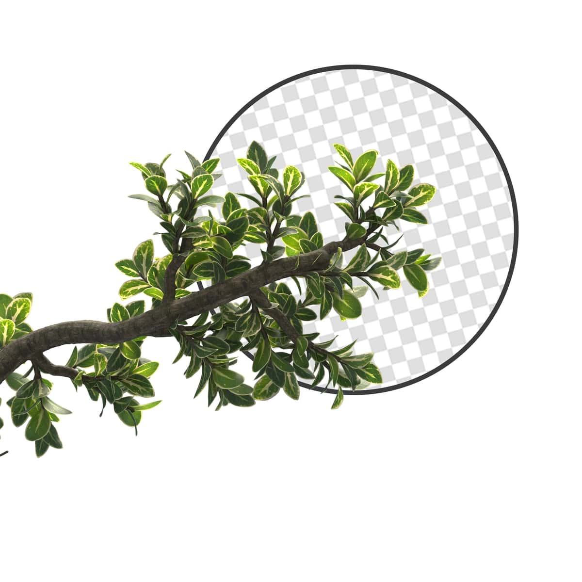 Psd daraxt barglari shoxlari oldingi | Psd tree leaves branch foreground 1
