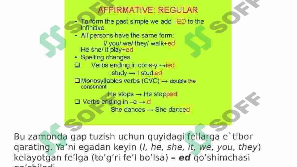 Past simple tense 5