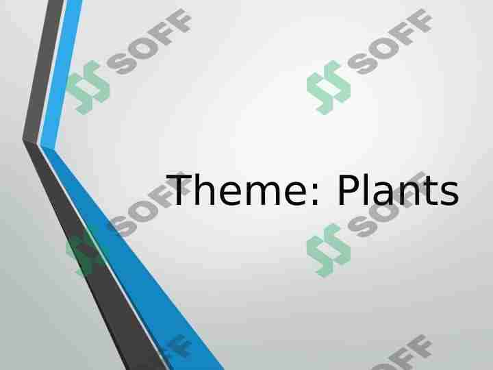 Plants