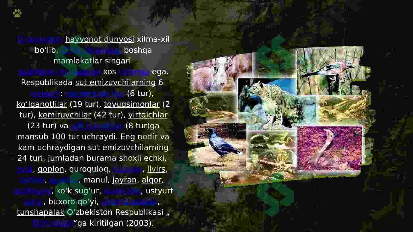 O'zbekiston hayvonot olami va "Qizil kitob"ga kiritilgan hayvonlar 2