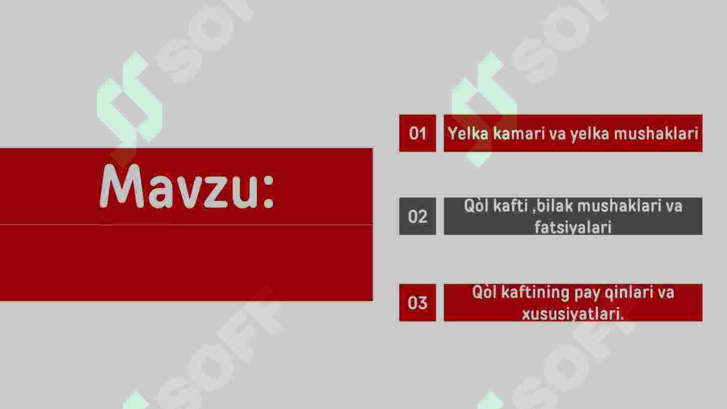 Qo‘l muskullari 2