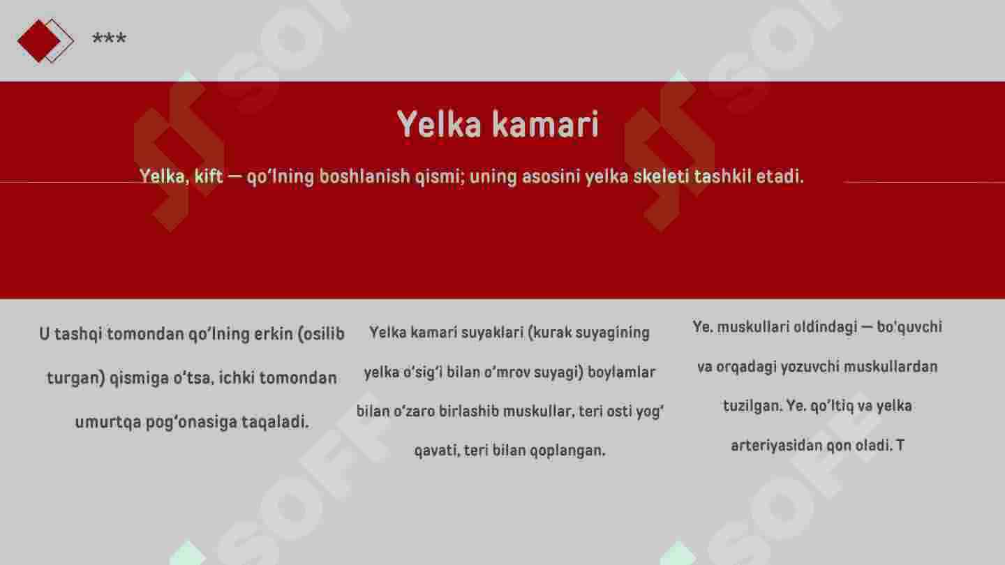 Qo‘l muskullari 3