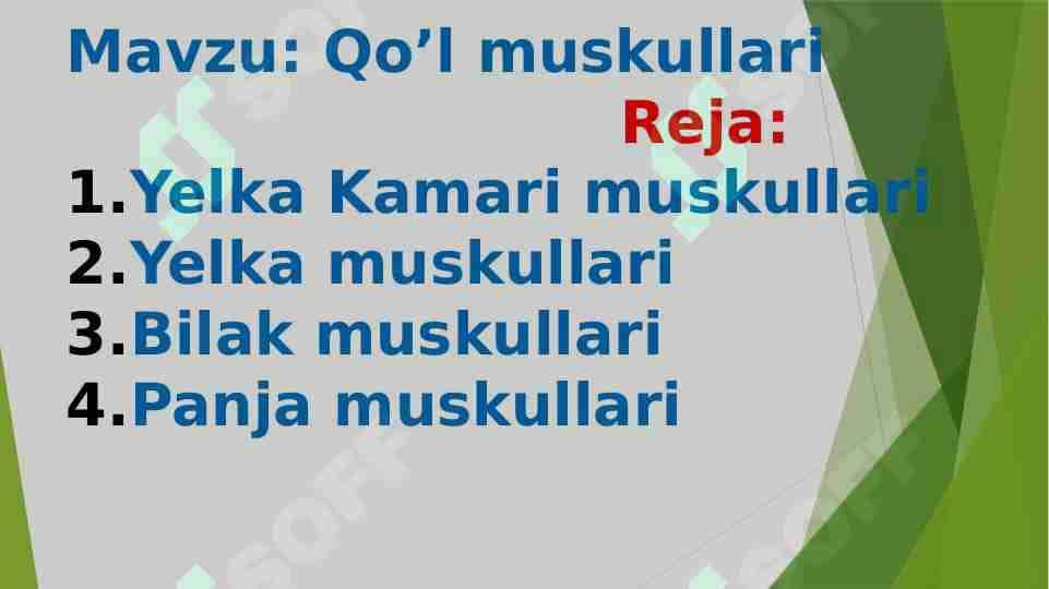 Qo‘l muskullari 1