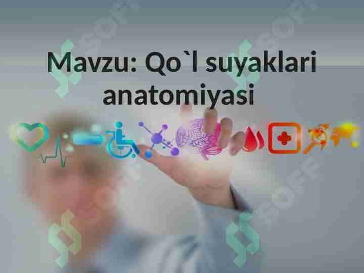 Qo'l suyaklari 1