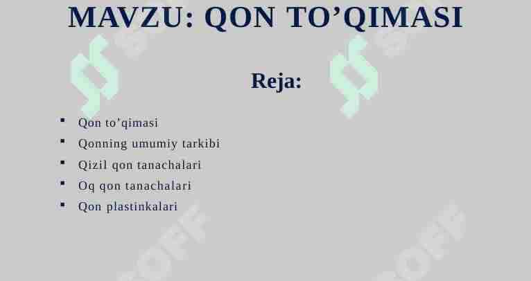 QON TO’QIMASI 1