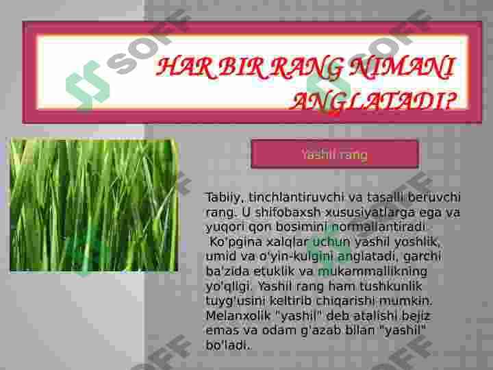 Rang psixologiyasi 8