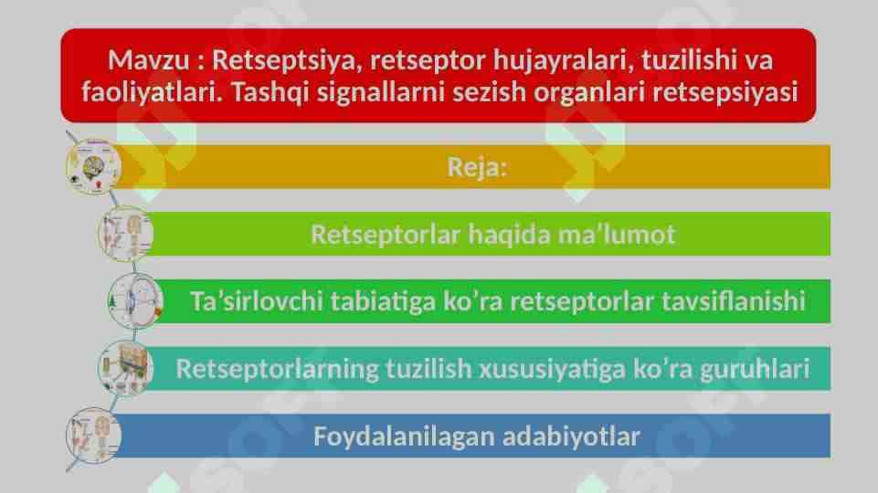 Retseptsiya, retseptor hujayralari, tuzilishi va faoliyatlari. Tashqi signallarni sezish organlari retsepsiyasi
