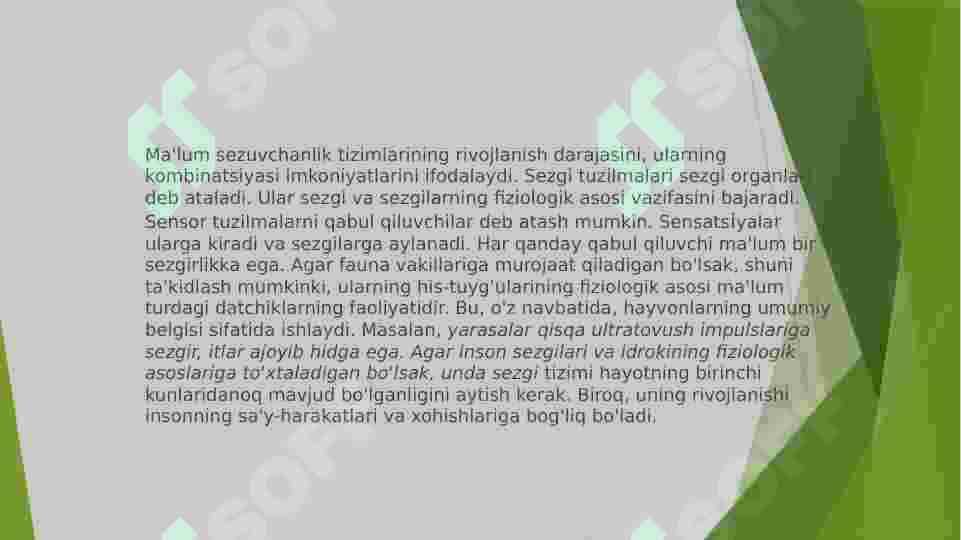 SEZGI 4