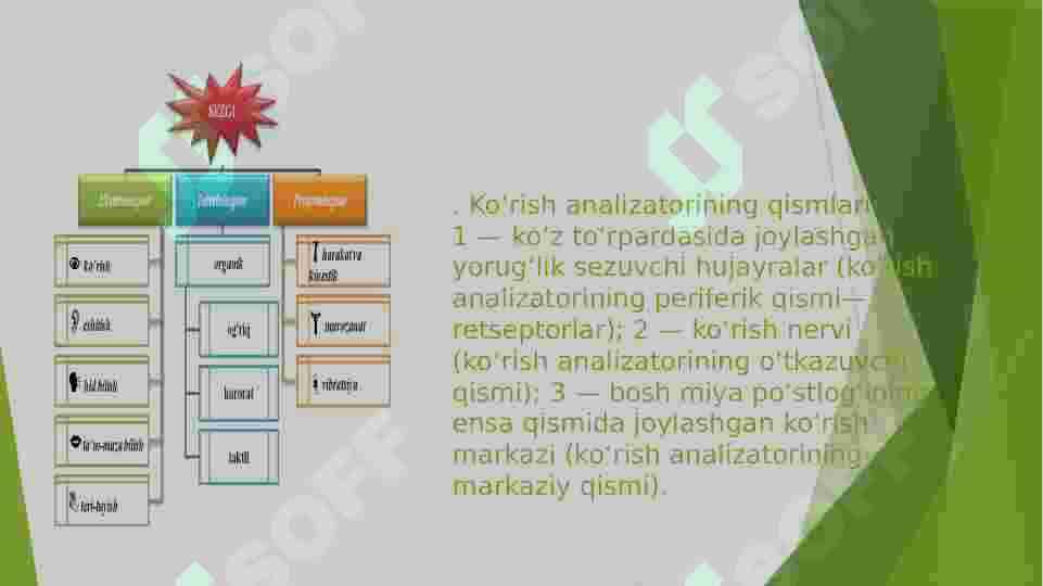 SEZGI 5