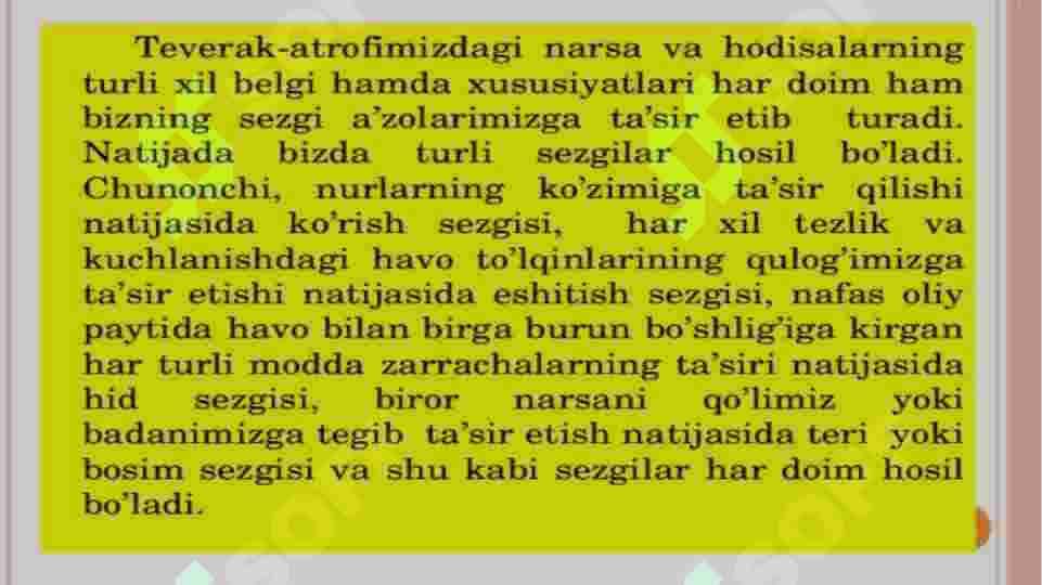SEZGI 7