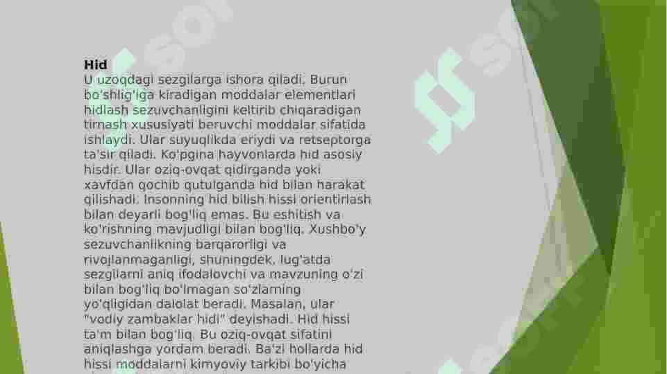 SEZGI 8