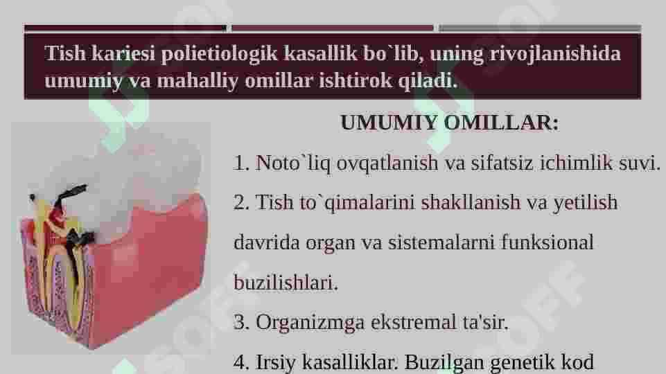 KARIESNI KELTIRIB CHIQARUVCHI  OMILLAR TISH KARASHLARINING KARIES VA PARADONT KASALLIKLARINING  VUJUDGA KELISHIDAGI AHAMIYATI 3