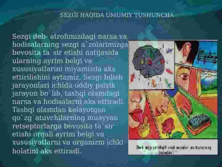 SEZGI 3
