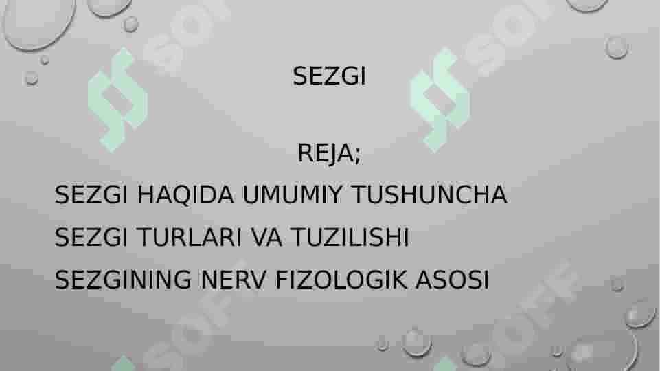 SEZGI 2