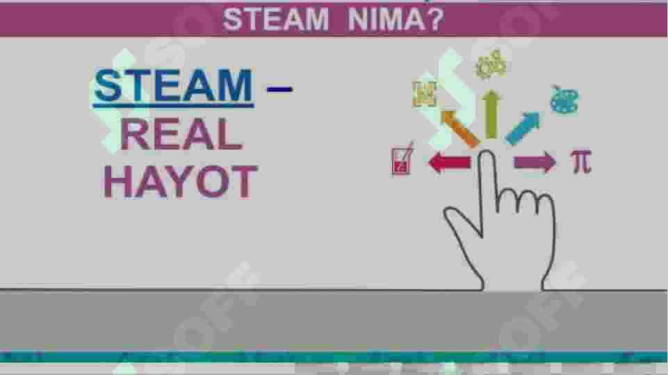 STEAM 3