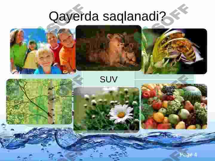 SUV 4