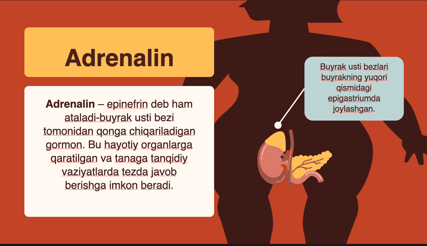 Gormonlar 3