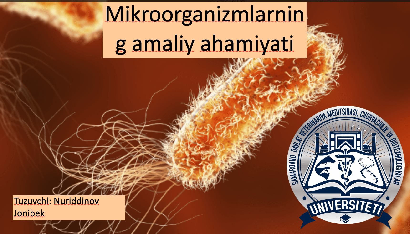 Mikroorganizmlarning amaliy ahamiyati 1