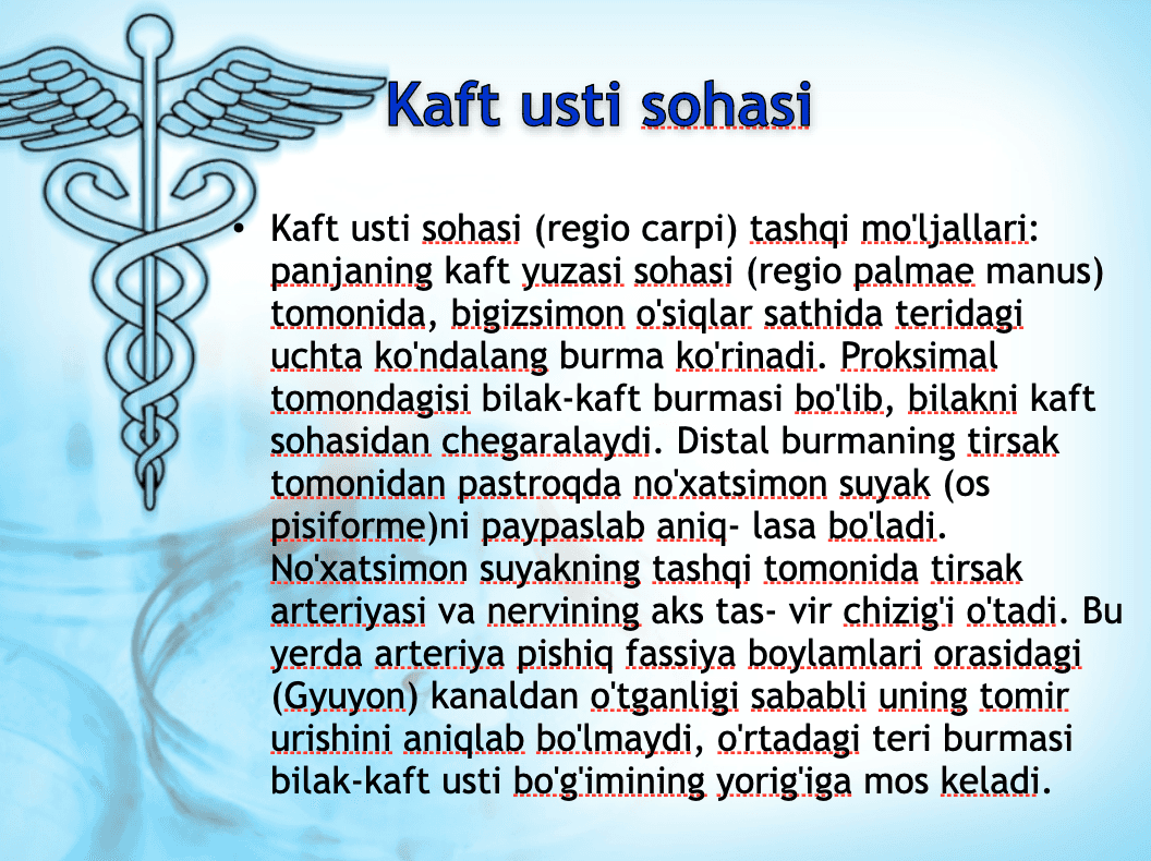 Qoʻl kaftining anatomik tuzilishining xususiyatlari 2