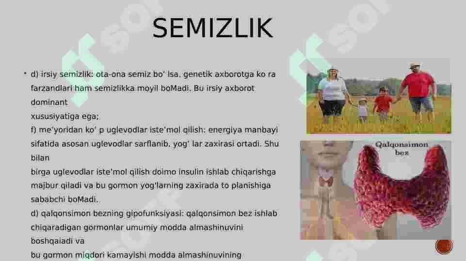 Semizlik 2