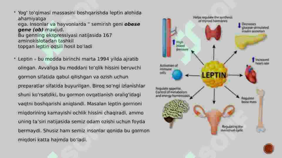 Semizlik 3